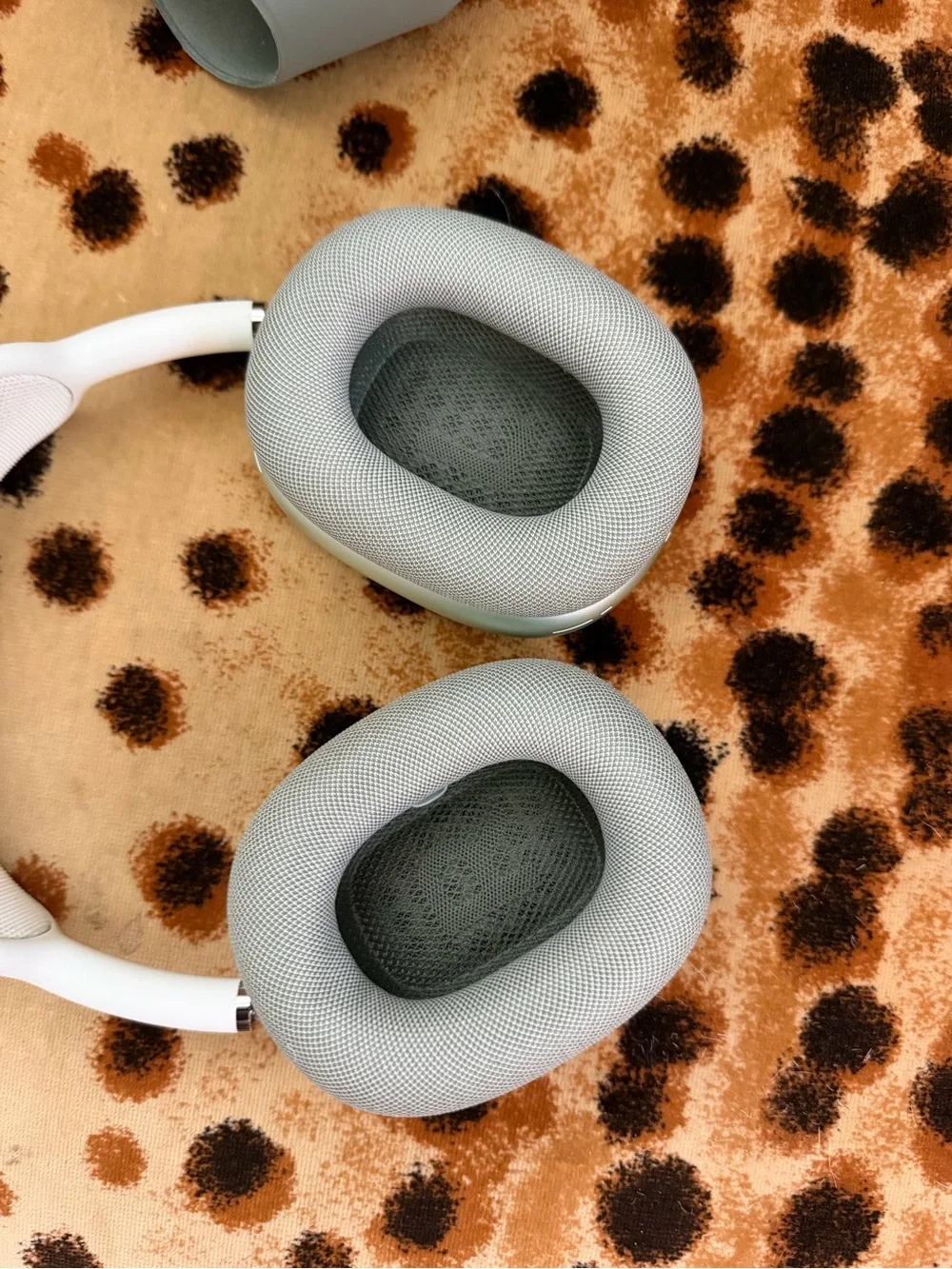 APPLE AIRPODS MAX in Sage Green and White 2024